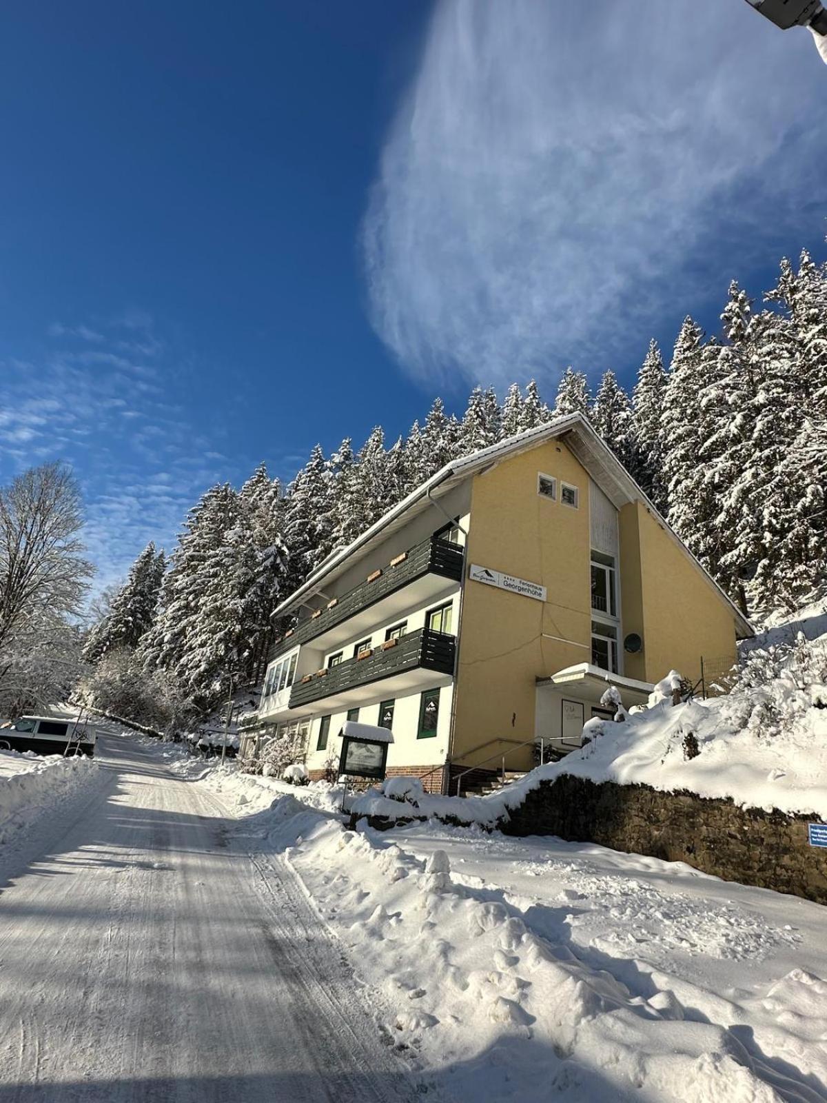 Haus Georgenhoehe Wildemann Εξωτερικό φωτογραφία